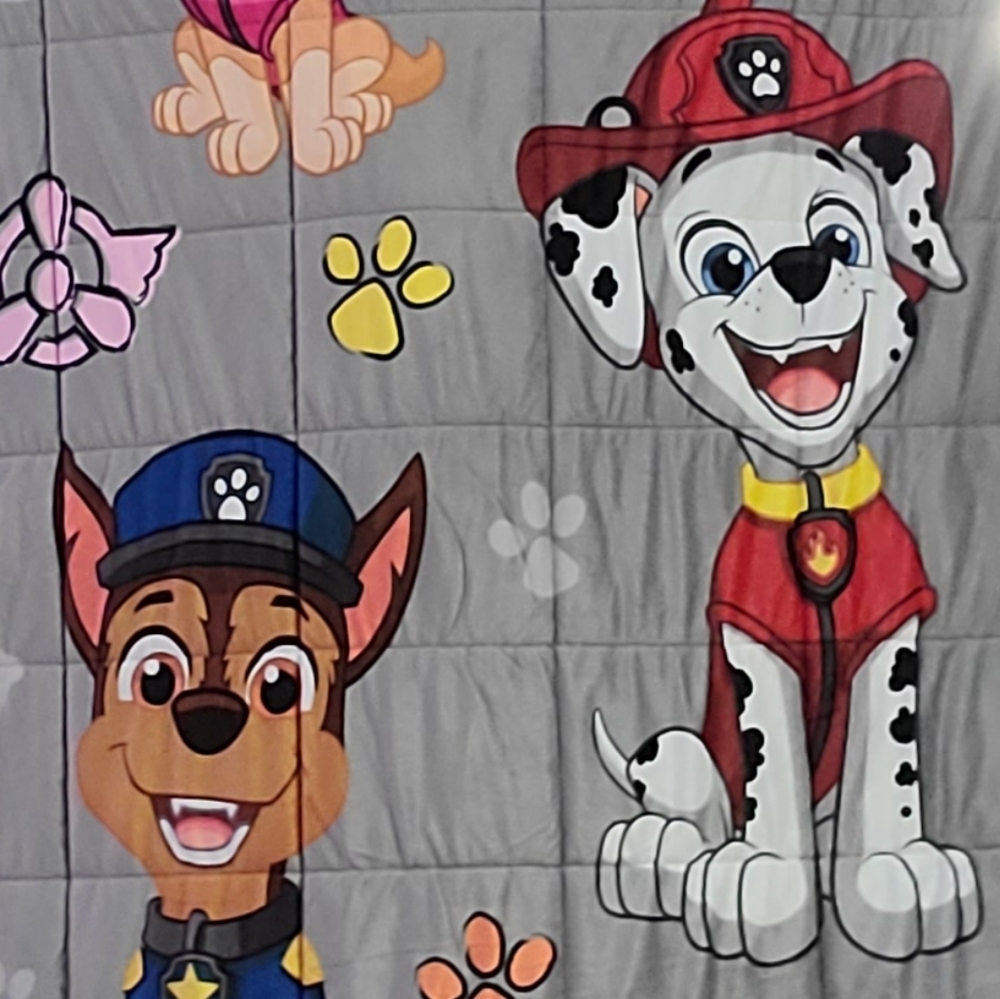 Paw Patrol weighted blanket - Picture 6 of 16